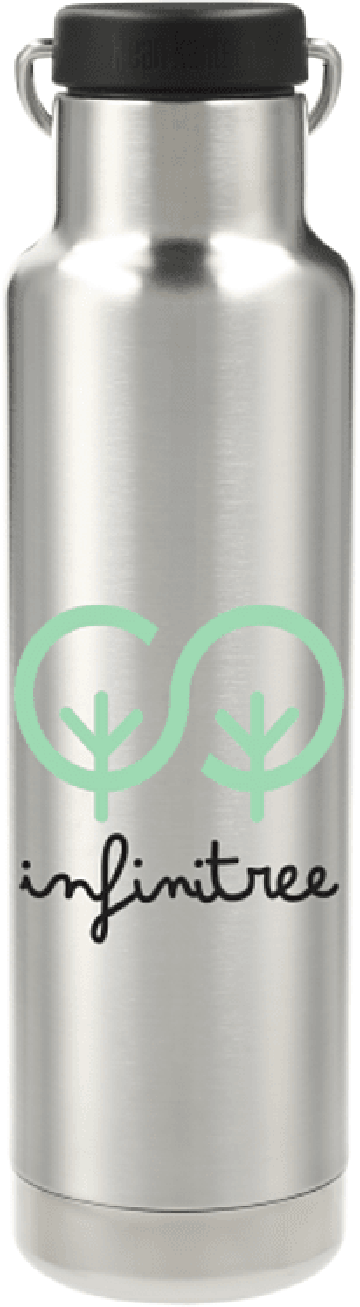 Klean Kanteen Eco Insulated Classic 20oz - Loop Cap Stainless Steel Water Bottle